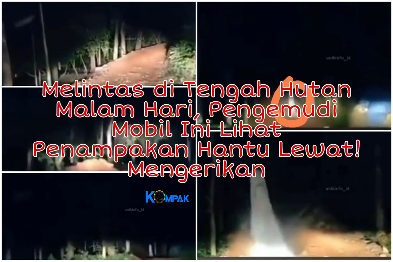 Melintas di Hutan Malam Hari, Pengemudi Mobil Ini Lihat Penampakan Hantu Lewat! Ngeri