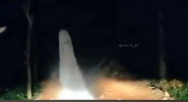 Melintas di Hutan Malam Hari, Pengemudi Mobil Ini Lihat Penampakan Hantu Lewat! Ngeri