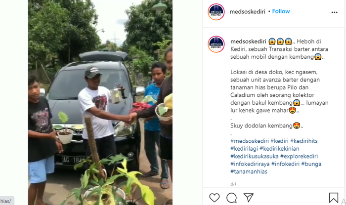 Tanaman Hias Ditukar Mobil Avanza, Wah Edan Cuy! Crazy Rich Jatim