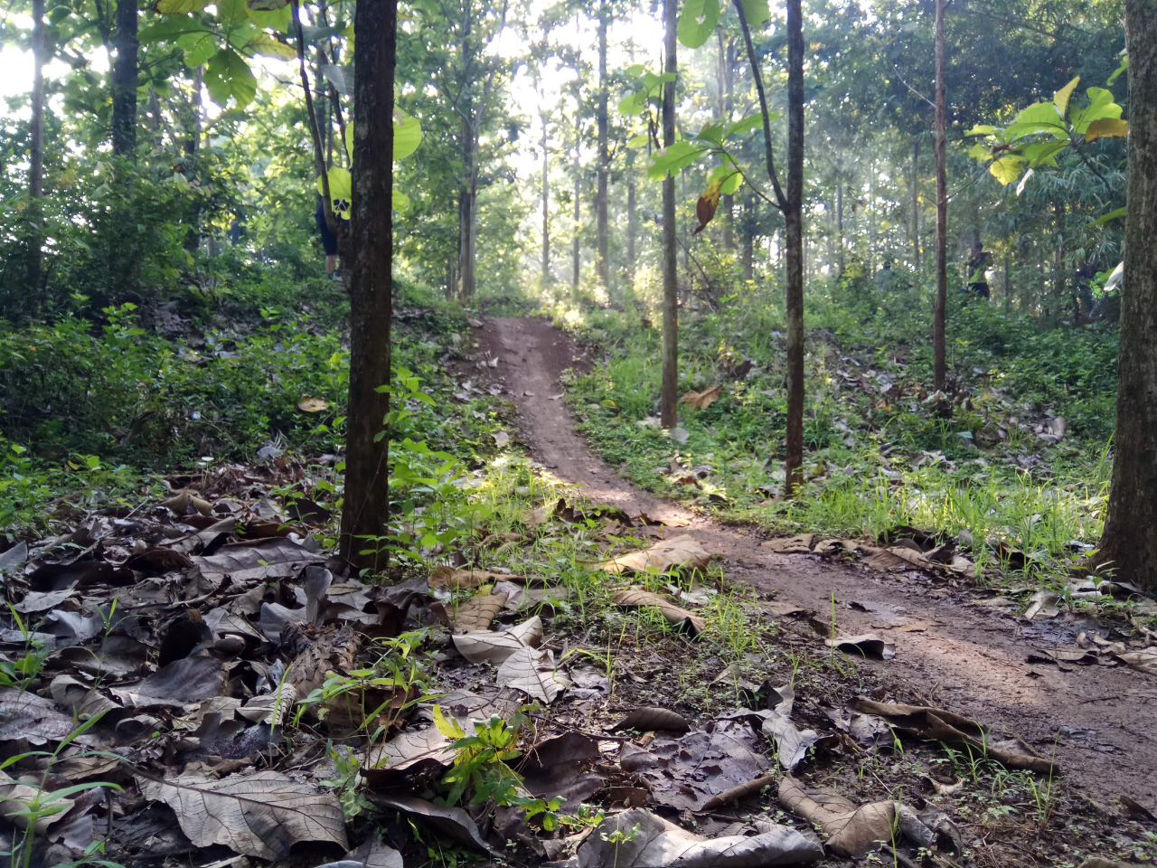 Pengalaman Gowes Jalur Sepeda Hutan Jati Pasar Kemis Tangerang
