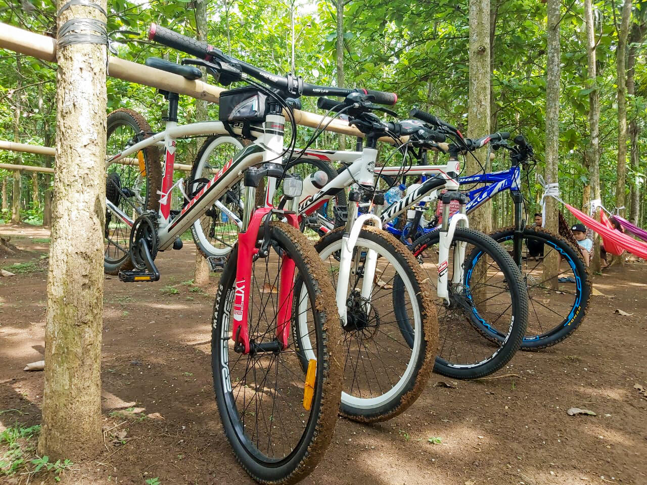 Pengalaman Gowes Jalur Sepeda Hutan Jati Pasar Kemis Tangerang