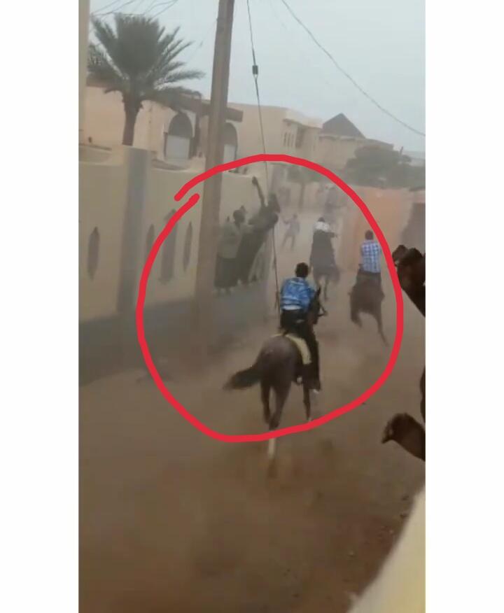 Heboh Balapan Kuda Liar di Afrika Nabrak Mobil Sampai Terbalik! 
