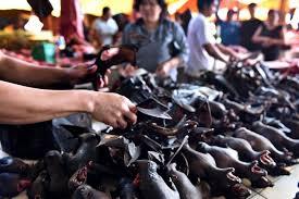 &#91;COC Reg. Manado&#93; Dikenal Sama dengan Pasar Penyebar Covid-19, Ini Faktanya!