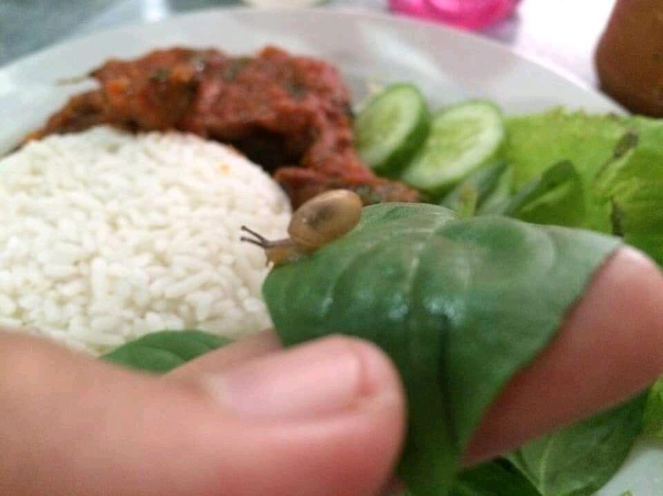 Gan, Selapar Apapun Perut Jangan Langsung Embat Aja Makanan, Atau Kayak Gini Jadinya!