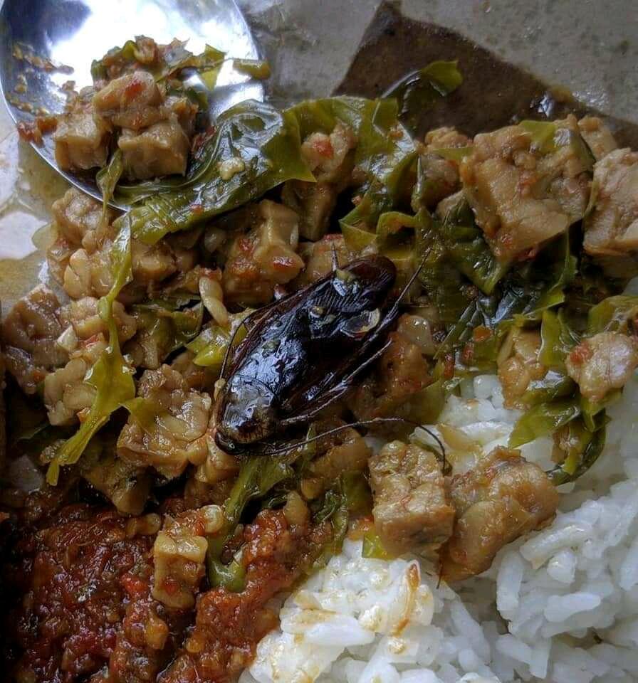 Gan, Selapar Apapun Perut Jangan Langsung Embat Aja Makanan, Atau Kayak Gini Jadinya!