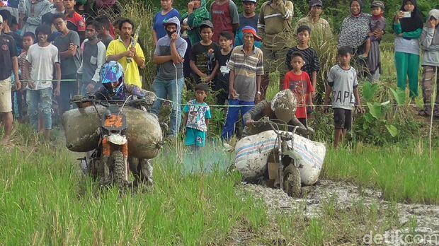 Pesta Panen di Polman Dimeriahkan Balap Motor Bawa Gabah di Jalur Berlumpur