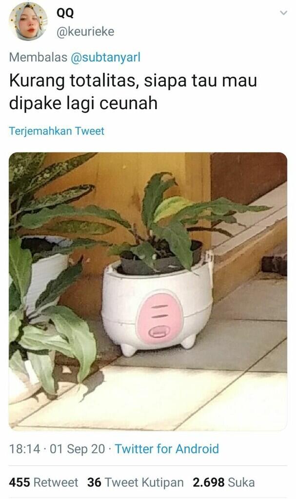 JANGAN ASAL PILIH POT! 7 jenis pot tanaman ini wajib kamu ketahui sebelum bertanam!