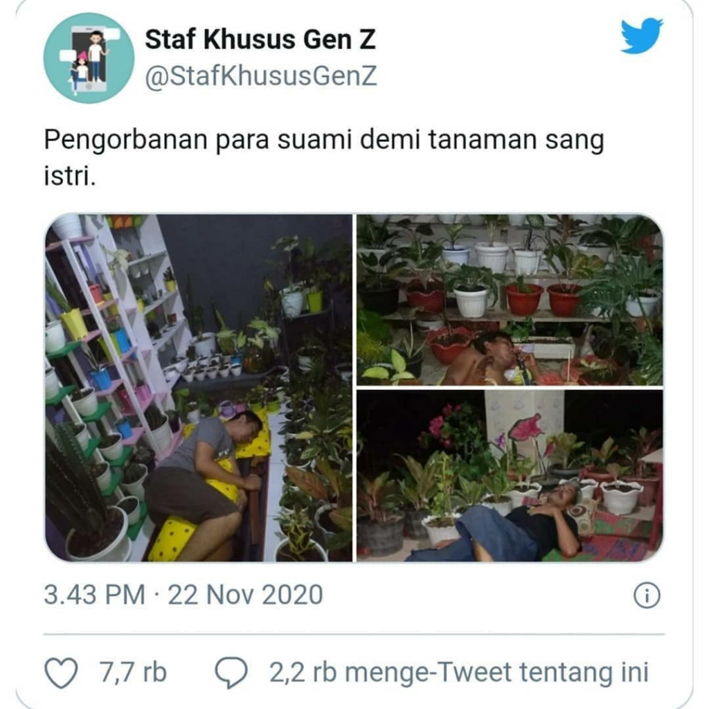 Viral! Para Suami Rela Tidur di Teras Rumah Demi Menjaga Tanaman Hias Istrinya