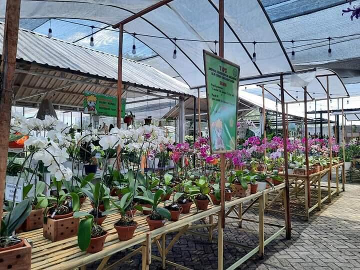 &#91;COC Reg.Jember&#93;Wajib Dikepoin, Dira Kencong Jember Hitsnya Bikin Bebas Ongkir
