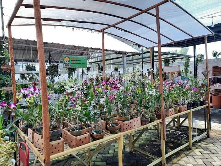 &#91;COC Reg.Jember&#93;Wajib Dikepoin, Dira Kencong Jember Hitsnya Bikin Bebas Ongkir