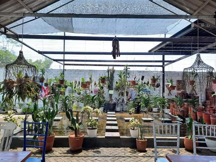 &#91;COC Reg.Jember&#93;Wajib Dikepoin, Dira Kencong Jember Hitsnya Bikin Bebas Ongkir