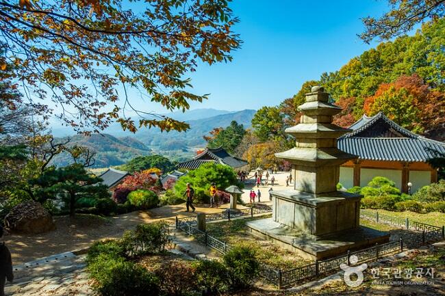 Mengenal 7 Kuil Gunung Budha di Korea