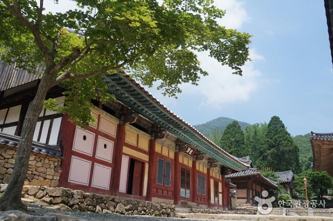 Mengenal 7 Kuil Gunung Budha di Korea