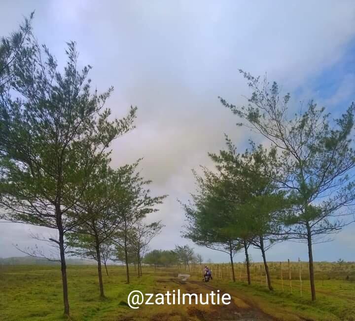 Nikmati Eksotisme Pantai Tipar Cianjur Selatan Yang Masih Perawan, Komplit Banget!