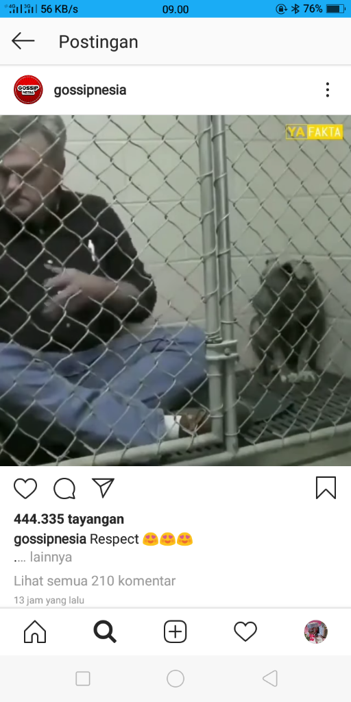 Bak Pahlawan, Pria Ini Berusaha menyelematkan Seekor Anjing Dari Trauma-nya!