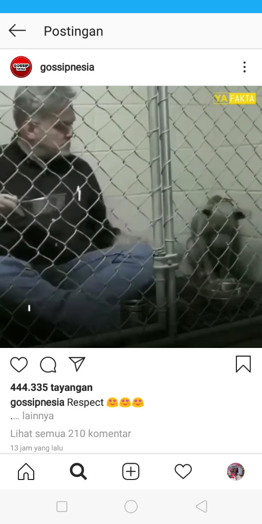 Bak Pahlawan, Pria Ini Berusaha menyelematkan Seekor Anjing Dari Trauma-nya!