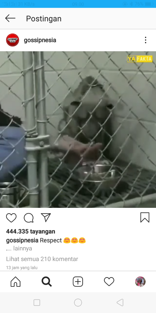 Bak Pahlawan, Pria Ini Berusaha menyelematkan Seekor Anjing Dari Trauma-nya!
