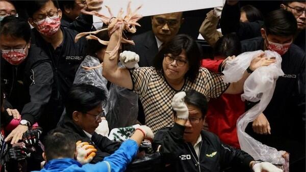 Panas! Anggota DPR Taiwan Lempar Usus dan Jeroan Babi Saat Rapat