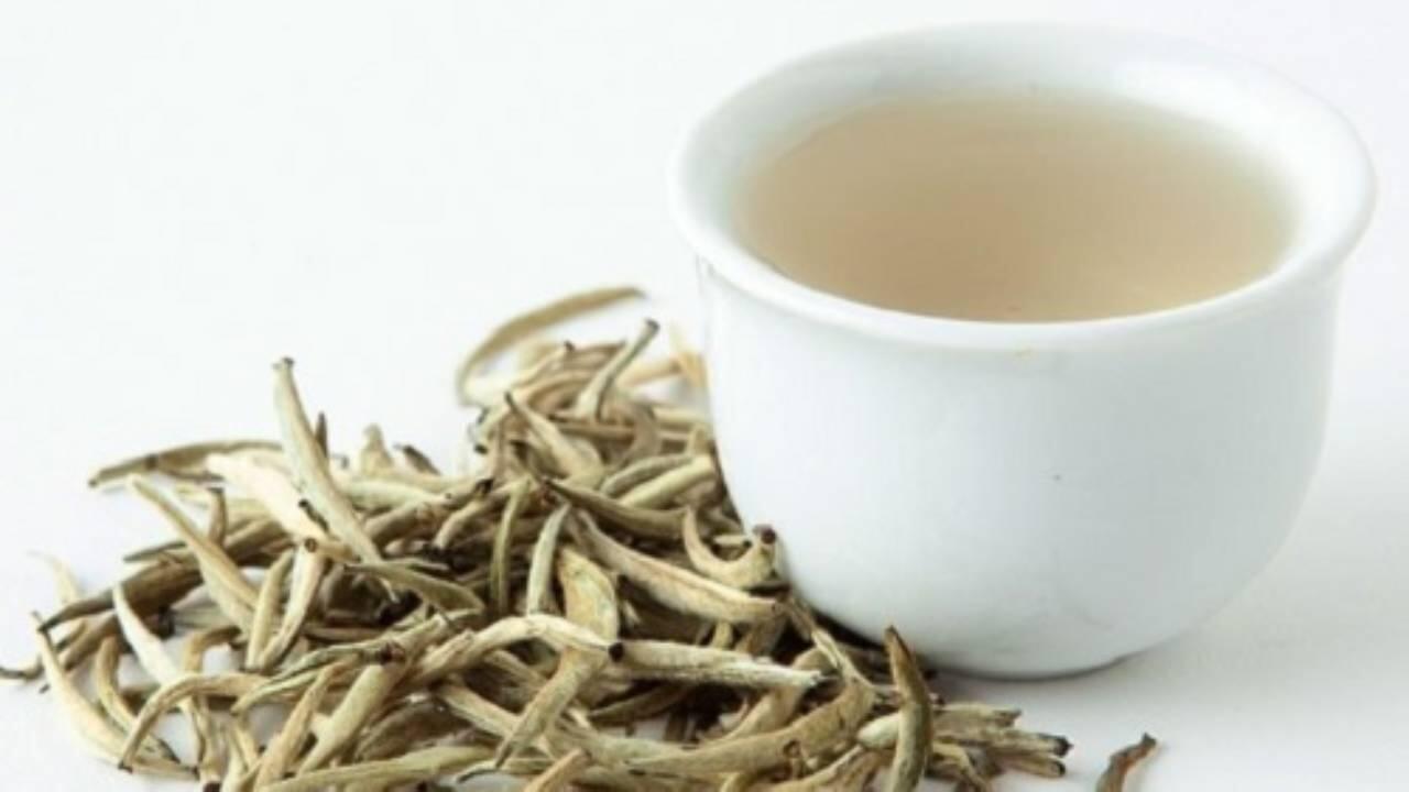 White tea. Белый чай на Цейлоне. Белый чай Бангладеш. Зеленый чай на белом. Египетский белый чай.