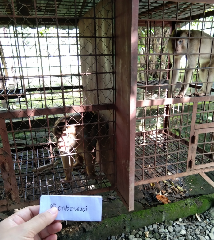 Wisata Taman Pantai Gemi Stabat, Jalan-jalan Sekitar Rumah Tanpa Perlu Keluar Kota!