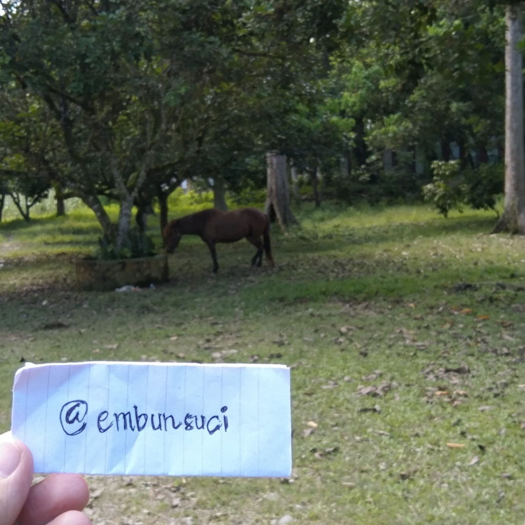 Wisata Taman Pantai Gemi Stabat, Jalan-jalan Sekitar Rumah Tanpa Perlu Keluar Kota!