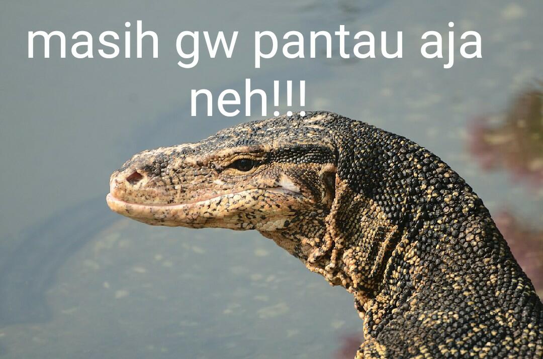 OTT, KPK Tangkap Wali Kota Cimahi