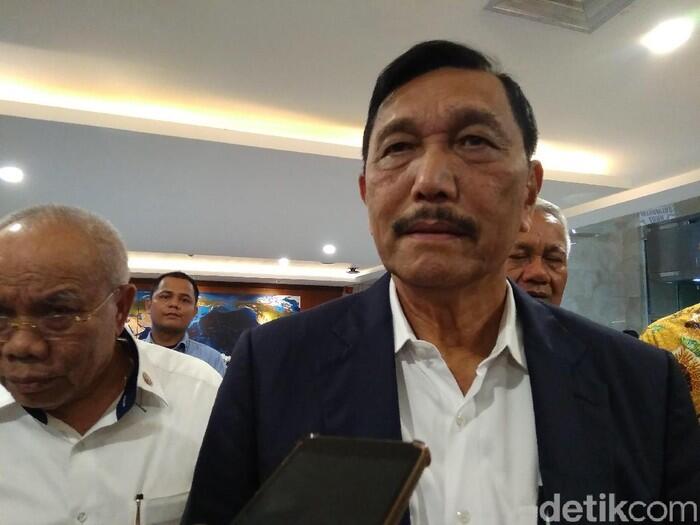 Luhut Nyatakan Permen soal Lobster Era Edhy Prabowo Tak Salah