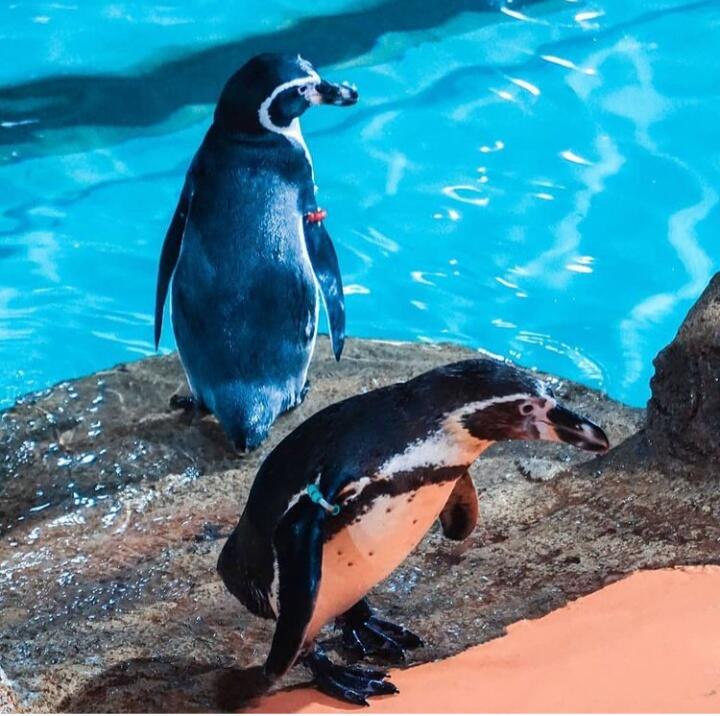 Mau Berwisata? Kesini Aja Gan-sis!