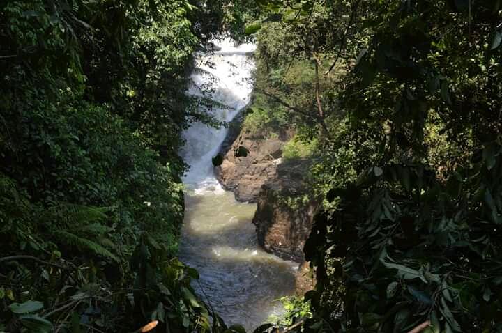 Gadis Hutan Tersembunyi Menjadi The Little Niagara yang Memukau! 