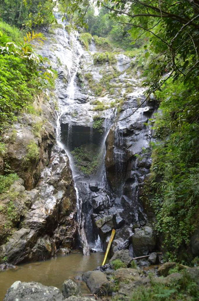 Gadis Hutan Tersembunyi Menjadi The Little Niagara yang Memukau! 