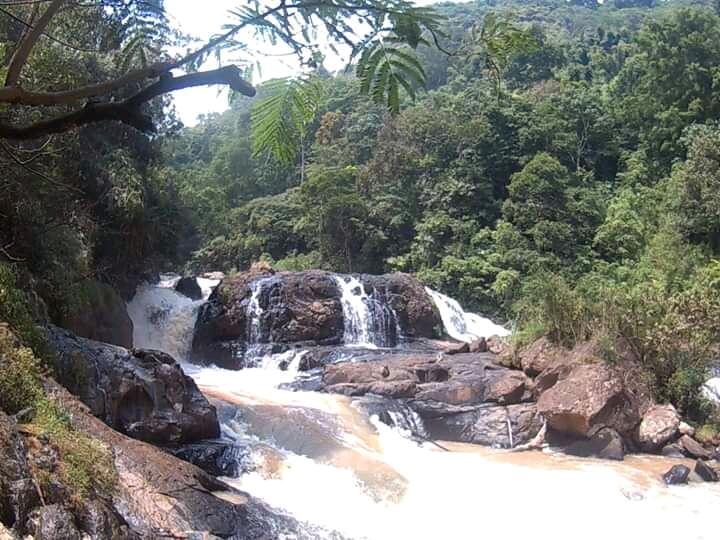 Gadis Hutan Tersembunyi Menjadi The Little Niagara yang Memukau! 