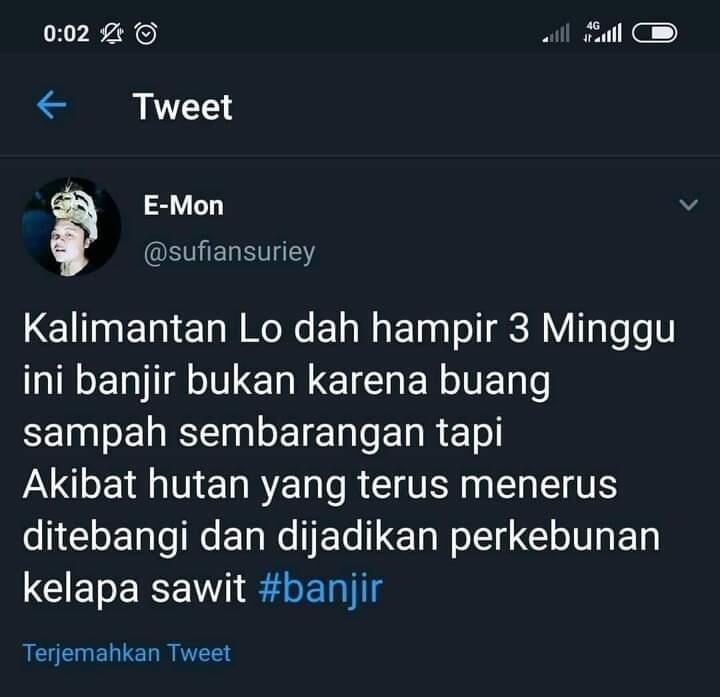 Beginilah Kondisi Hutan Kalimantan