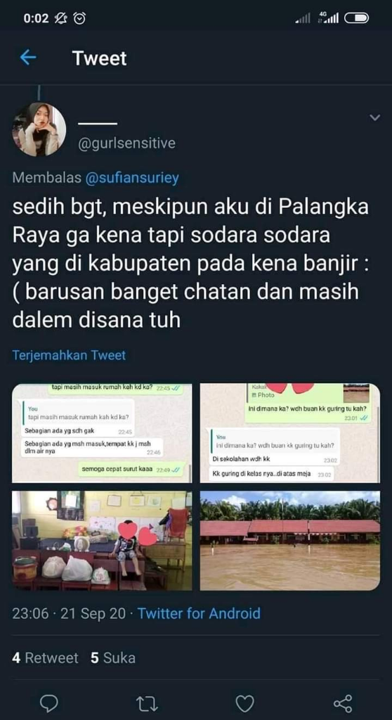 Beginilah Kondisi Hutan Kalimantan