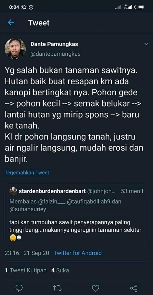 Beginilah Kondisi Hutan Kalimantan
