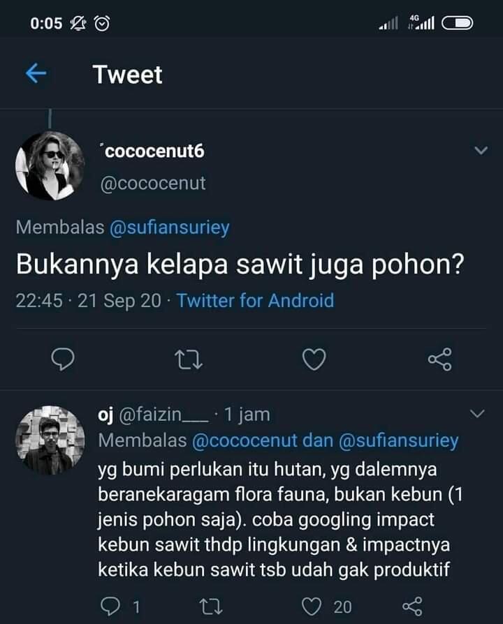 Beginilah Kondisi Hutan Kalimantan