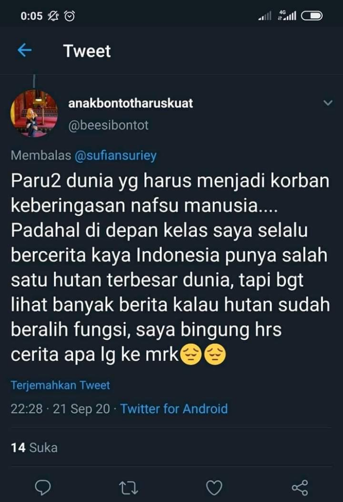 Beginilah Kondisi Hutan Kalimantan