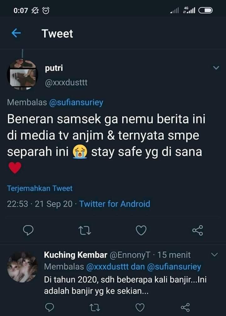 Beginilah Kondisi Hutan Kalimantan