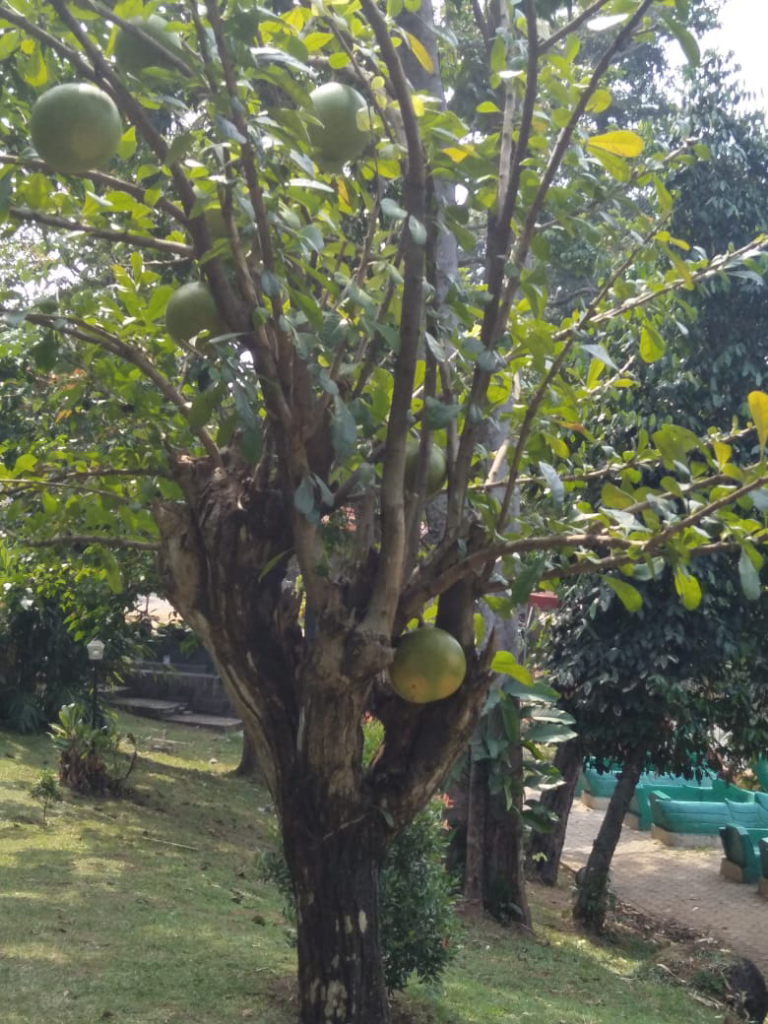 Kenapa TMII?! Cek Aja Di Sini Gan-sis!