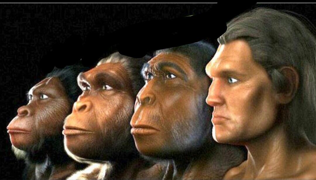 EVOLUSI MANUSIA VS KERA