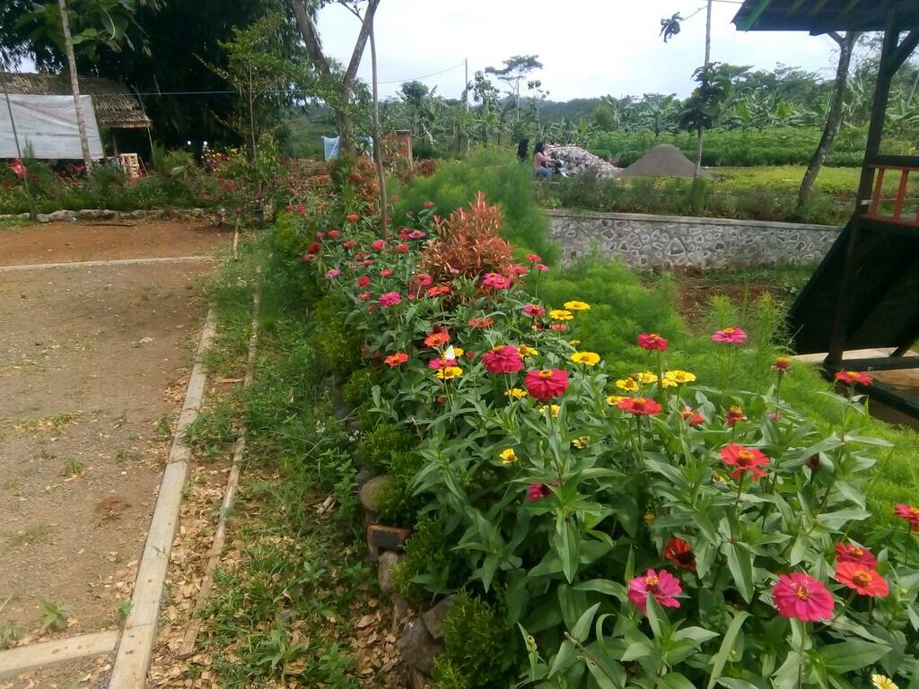 Bukit Samida, Tempat Bersejarah yang Kini Menjadi Tempat Wisata