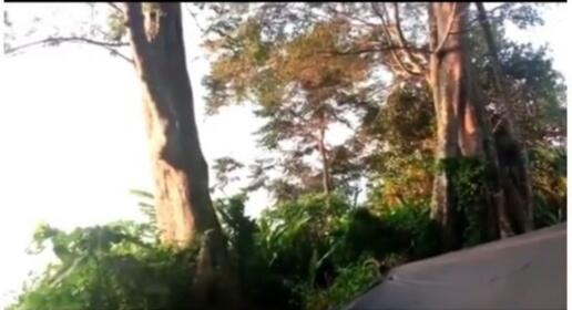 Horor, Video Pendaki Gunung Mendengar Suara Gamelan di Puncak Gunung Mananggel!