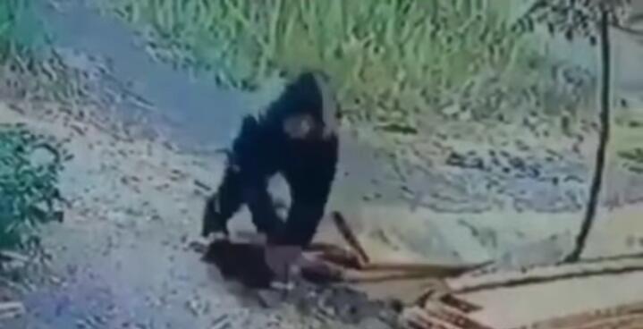 Kocak! Maling Ini Lakukan Cara Mencuri Ayam yang Anti-mainstream, Berhasil Gak Ya?