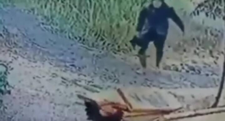 Kocak! Maling Ini Lakukan Cara Mencuri Ayam yang Anti-mainstream, Berhasil Gak Ya?