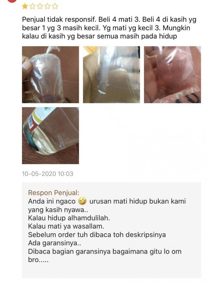 Kocak! Complain Olshop yang Bikin Geleng-geleng Kepala