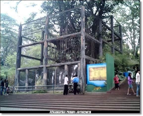 Tempat Wisata Terdekat Dari Rumah Ane Ya Kebun Binatang Bandung