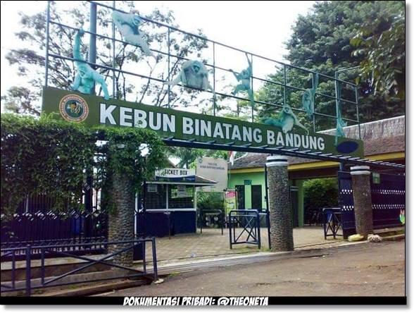 Tempat Wisata Terdekat Dari Rumah Ane Ya Kebun Binatang Bandung