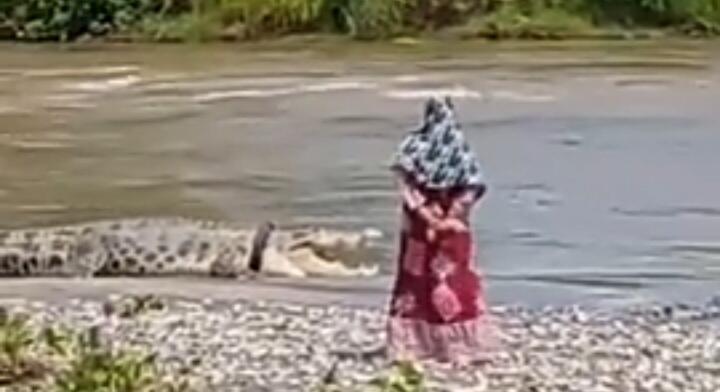 Mengerikan, Heboh Video Buaya Berkalung Ban Ngobrol dengan Sosok Perempuan Misterius!