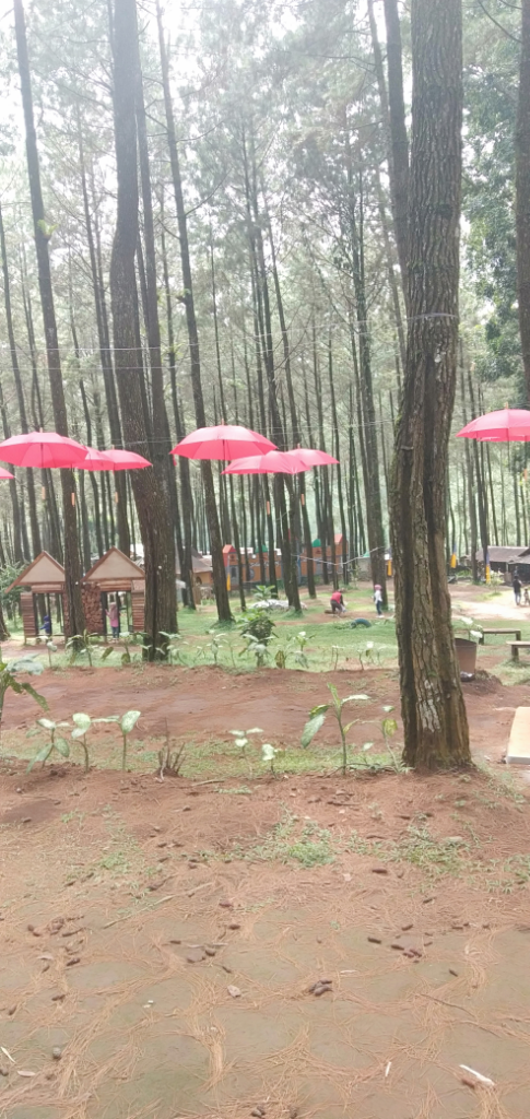 &#91;COC Travellers&#93; Si Kembang Park Desa Kembang Langit, Wisata Tipis-tipis tapi Manis
