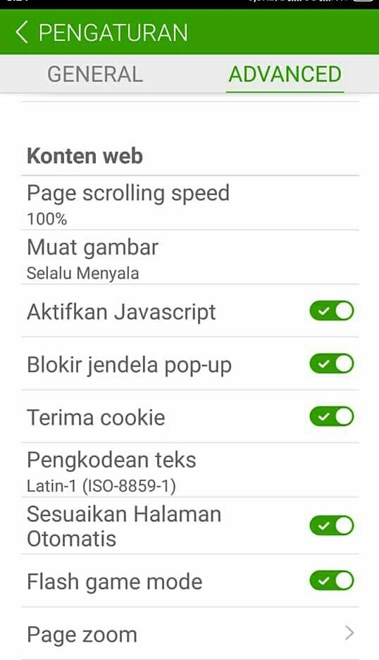 KOMPATIBLE BROWSER FLASH FLAYER
