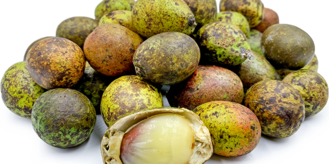 10 manfaat buah matoa untuk kesehatan